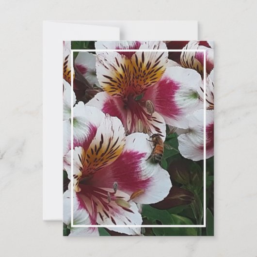 ハネビーとアルストロメリアスのエンクロージャカード 出欠カード (正面)