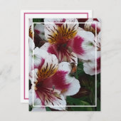 ハネビーとアルストロメリアスのエンクロージャカード 出欠カード (正面/裏面)