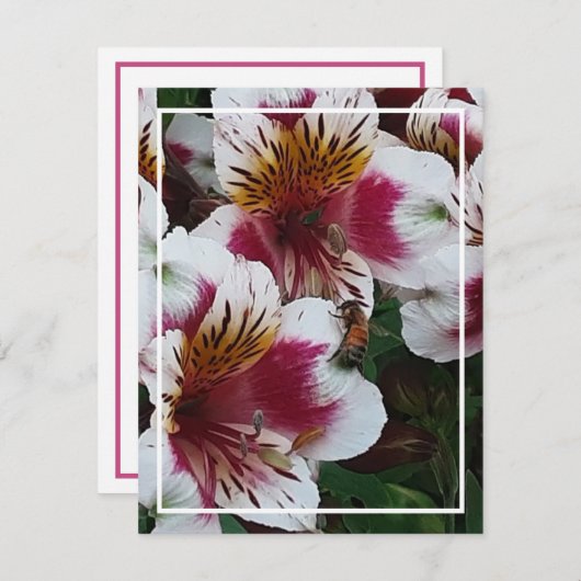 ハネビーとアルストロメリアスのエンクロージャカード 出欠カード (正面/裏面)