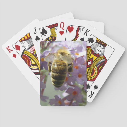 ハネビーとブドリーア花遊のカード トランプ (裏面)