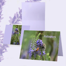 ハネビーと（昆虫）マルハナバチ紫空白ののノートカード サンキューカード