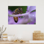 ハネビーのポスター ポスター (キッチン)