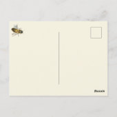 ハネビーヘブン ポストカード (裏面)