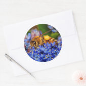 ハネビー忙しオンザカリフォルニア薄紫 ラウンドシール (封筒)