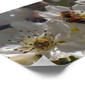 ハネビー ポスター (角)