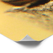 ハネビー ポスター (角)