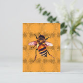 ハネビー ポストカード (スタンド正面)