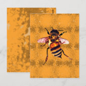 ハネビー ポストカード (正面/裏面)