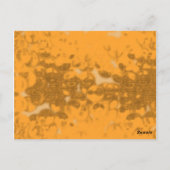 ハネビー ポストカード (裏面)