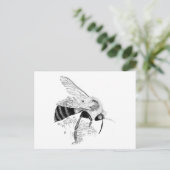 ハネビー ポストカード (スタンド正面)