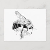 ハネビー ポストカード (正面)