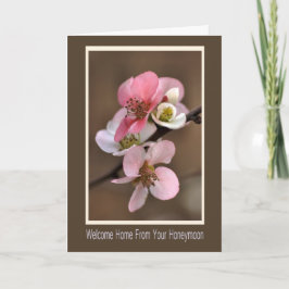 ハネムーンからようこそいらっしゃい カード