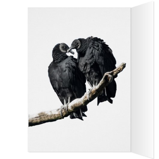 ハネムーン (内側 (左))