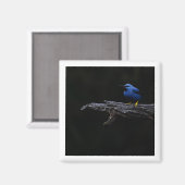 ハネリ輝くーパー磁石 マグネット (正面/裏面)