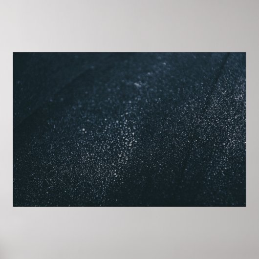 ハノイ ポスター (正面)