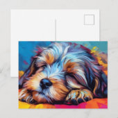 ハバカラフルス犬が眠る ポストカード (正面/裏面)