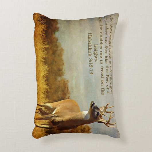 ハバクク3:感動的18 アクセントクッション (正面(垂直))