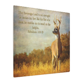 ハバクク3:感動的18 メタルプリント