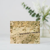 ハバスキャニオンパックトレイン ポストカード (スタンド正面)