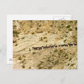 ハバスキャニオンパックトレイン ポストカード (正面/裏面)