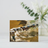 ハバスキャニオンパックトレイン ポストカード (スタンド正面)