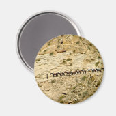 ハバスキャニオンパックトレイン マグネット (正面/裏面)