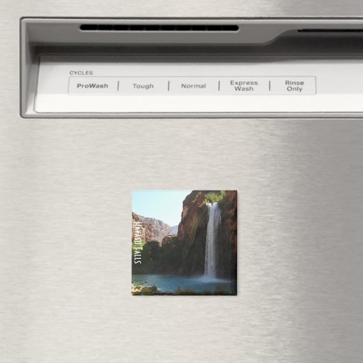 ハバス秋磁石 マグネット (インサイチュ (食洗機))