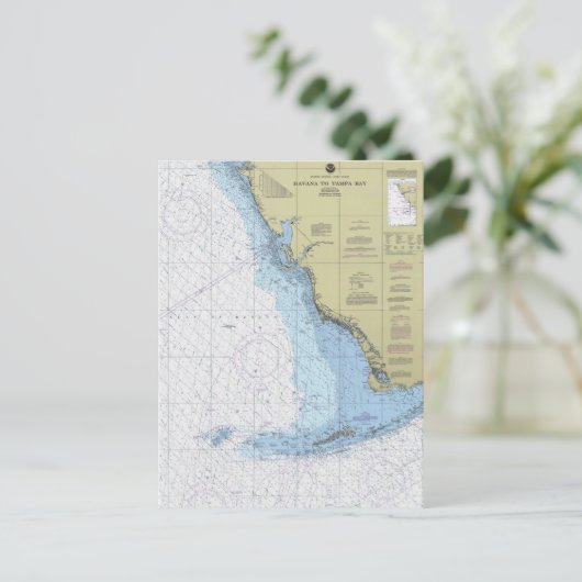 ハバナとタンパ湾フロリダグ航海のラートポストカー ポストカード (スタンド正面)