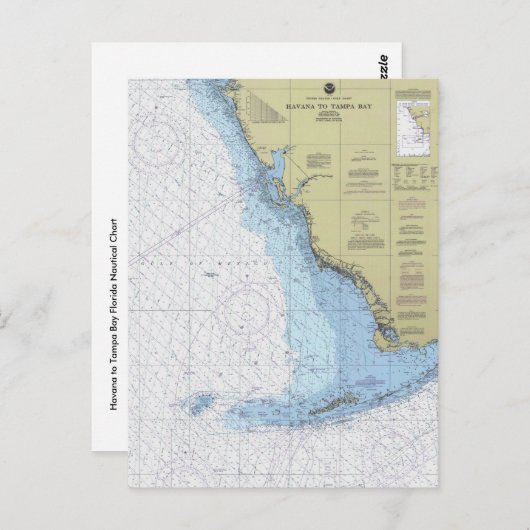 ハバナとタンパ湾フロリダグ航海のラートポストカー ポストカード (正面/裏面)