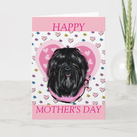 ハバナシルクドッグ カード (正面)