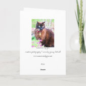 ハバナ挨拶カード カード (裏面)