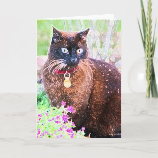 ハバナ挨拶カード カード (正面)