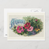 「ハバナ葉巻ボックスラベル」ヴィンテージ葉書 ポストカード (正面/裏面)