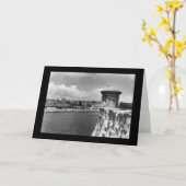 ハバナ、キューバ・バーズアイ1902 カード (黄色い花)