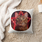 ハバナ・ブラウン猫 クッション (ブランケット)