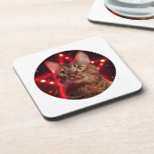 ハバナ・ブラウン猫 コースター (左側)