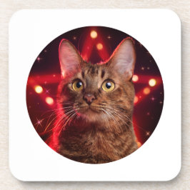ハバナ・ブラウン猫 コースター
