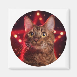 ハバナ・ブラウン猫 マグネット