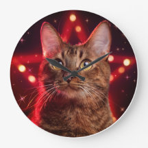 ハバナ・ブラウン猫