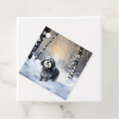 ハバニーズが雪のクリスマスを祝う フェイバータグ (インサイチュ)