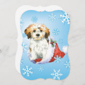 ハバニーズのホリデーシーズン シーズンカード (正面/裏面)