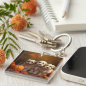 ハバニーズの子犬の秋デライトカボチャ キーホルダー (正面右)