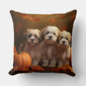ハバニーズの子犬の秋デライトカボチャ クッション (正面)