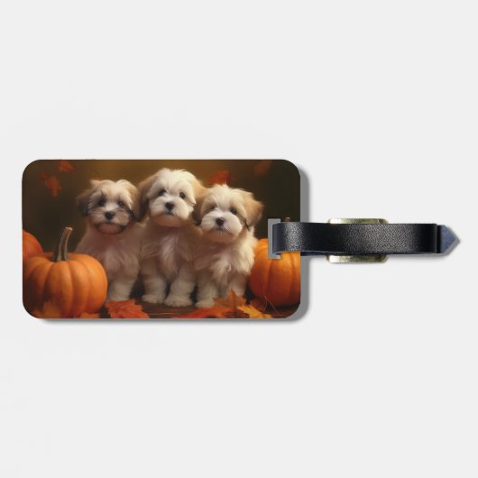 ハバニーズの子犬の秋デライトカボチャ ラゲッジタグ (裏面横)