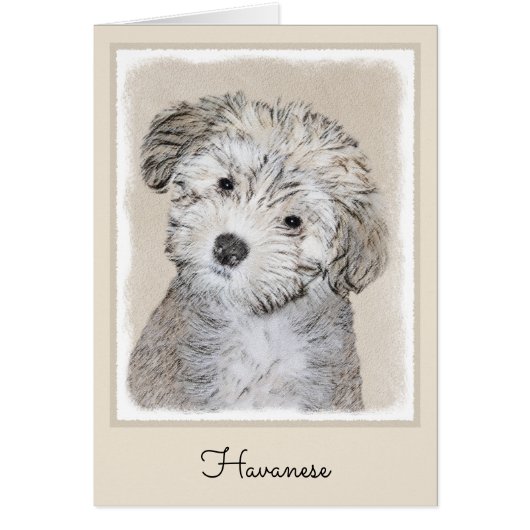 ハバニーズの子犬の絵 - かわいいオリジナルの犬のアート (正面)