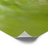 ハバニーズの子犬 ポスター (角)