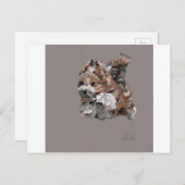 ハバニーズの子犬 ポストカード (正面/裏面)