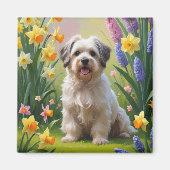 ハバニーズの犬と春の花の絵画 マグネット (正面)