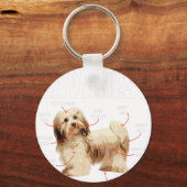 ハバニーズの解剖学 – キューバのハバネセル・ハバネザー キーホルダー (正面)