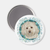 ハバニーズターコイズ水 マグネット (正面/裏面)